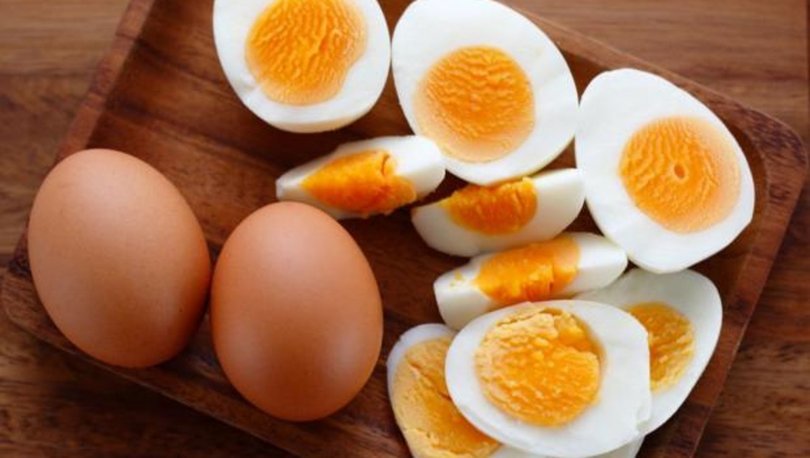 Yumurta nedir Ne işe yarar?