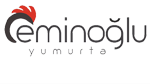 footer-logo